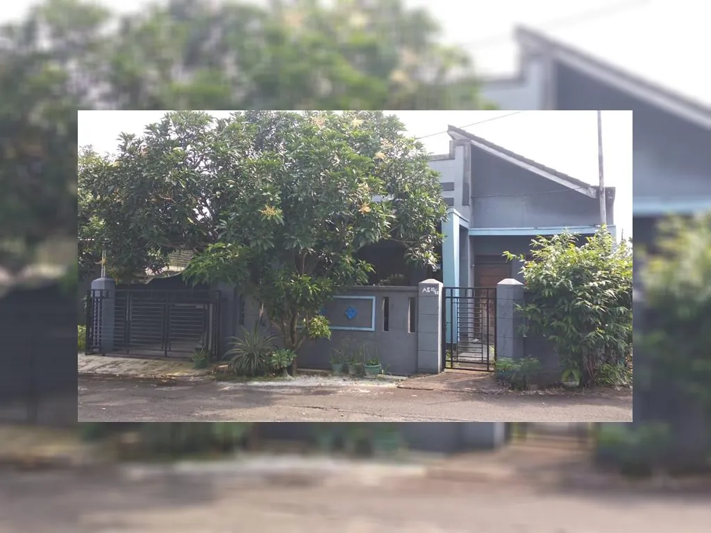 WhatsApp Image 2023-01-12 at 09.41.43.jpeg